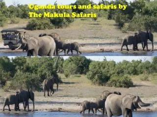 Uganda tours and safaris by The Makula Safaris