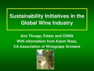 Sustainability Initiatives in the Global Wine Industry