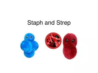 Staph and Strep