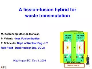 A fission-fusion hybrid for waste transmutation
