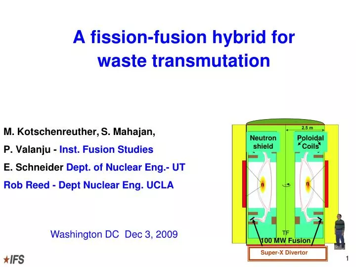 a fission fusion hybrid for waste transmutation