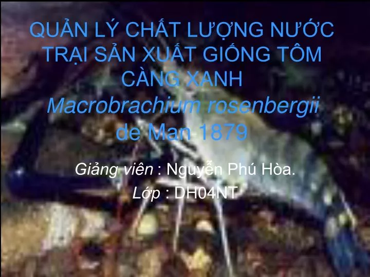 qu n l ch t l ng n c tr i s n xu t gi ng t m c ng xanh m acrobrachium rosenbergii de man 1879