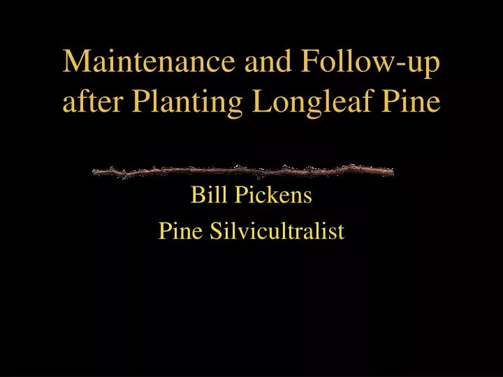 maintenance and follow up after planting longleaf pine