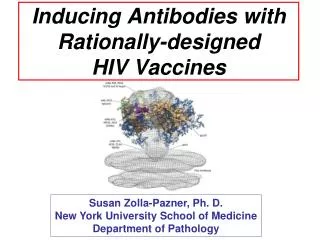 Inducing Antibodies with Rationally-designed HIV Vaccines