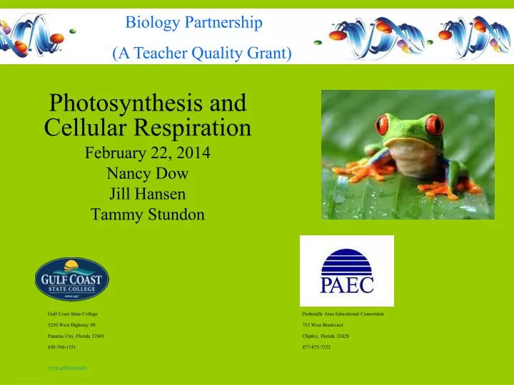 photosynthesis and cellular respiration february 22 2014 nancy dow jill hansen tammy stundon