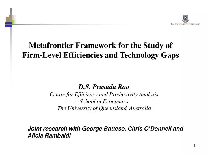 metafrontier framework for the study of firm level efficiencies and technology gaps