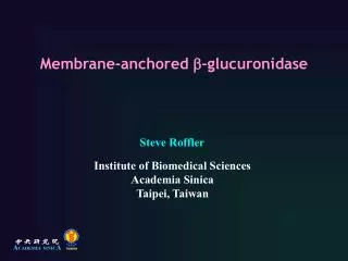 Membrane-anchored b -glucuronidase