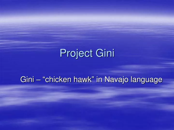 project gini
