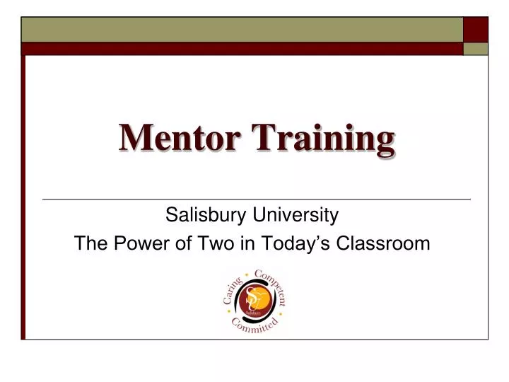 mentor training