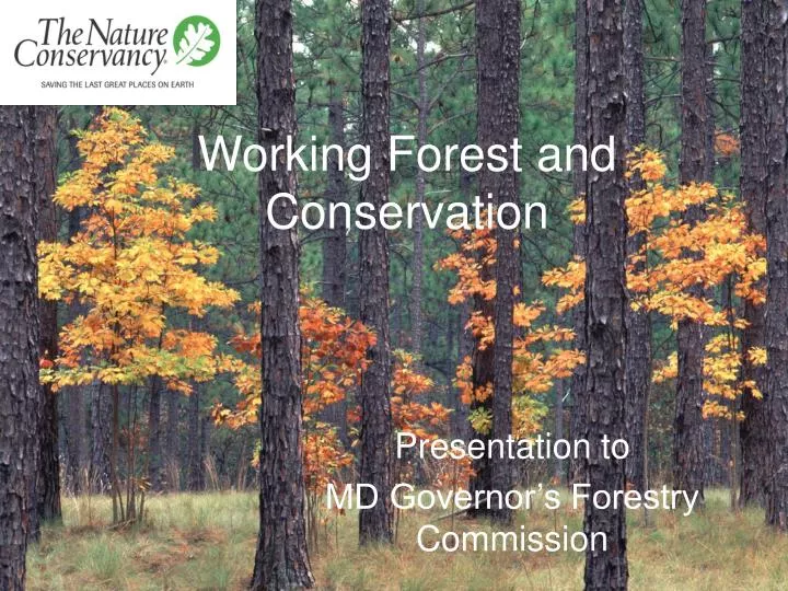 working forest and conservation