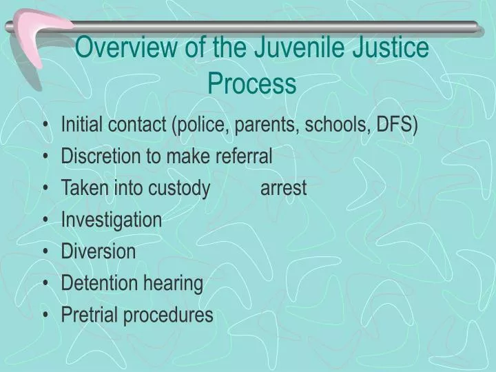 overview of the juvenile justice process