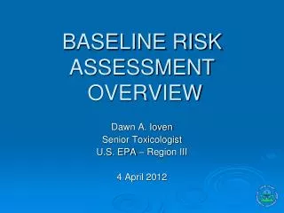 BASELINE RISK ASSESSMENT OVERVIEW