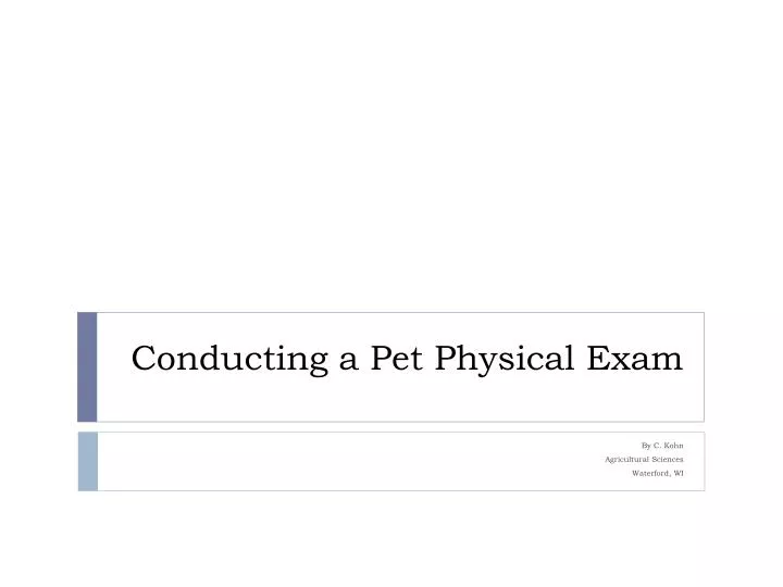 conducting a pet physical exam