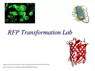 RFP Transformation Lab