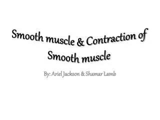 Smooth muscle &amp; Contraction of Smooth muscle