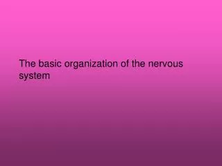 The basic organization of the nervous system