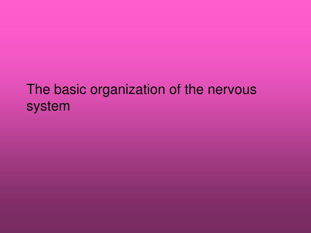 PPT - The basic organization of the nervous system PowerPoint ...
