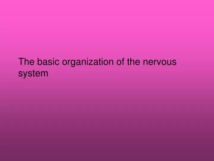 the basic organization of the nervous system