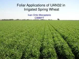 Foliar Applications of UAN32 in Irrigated Spring Wheat