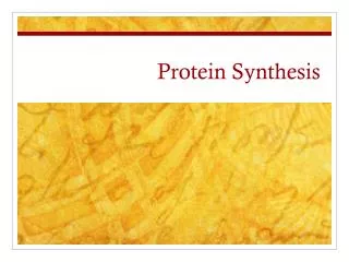 Protein Synthesis