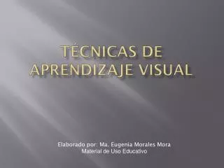 t cnicas de aprendizaje visual