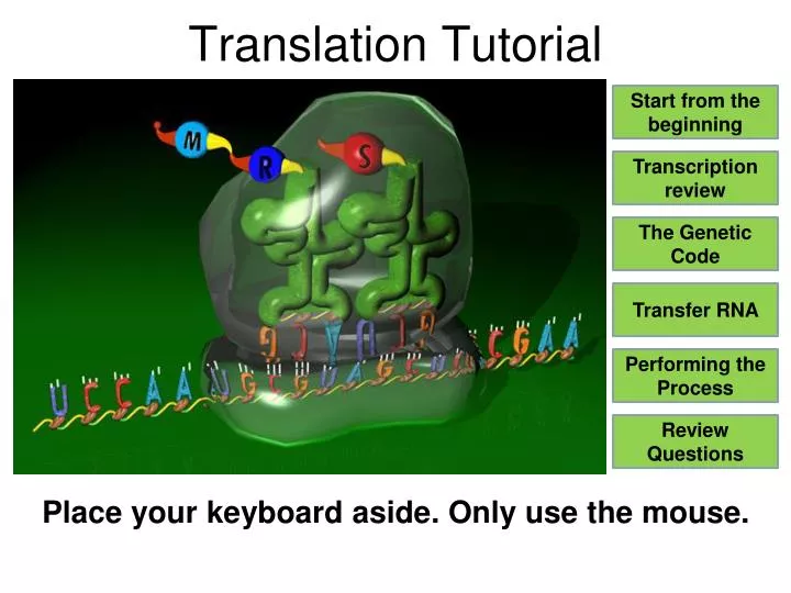 translation tutorial