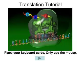 translation tutorial
