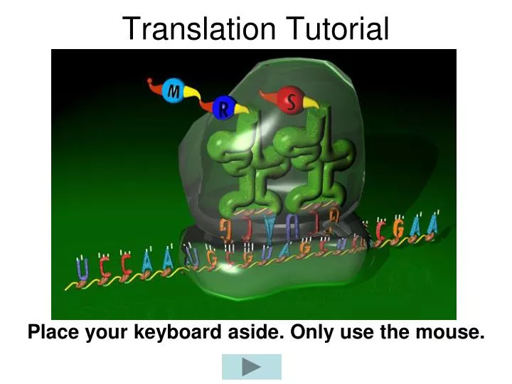 translation tutorial