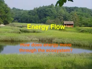 energy flow