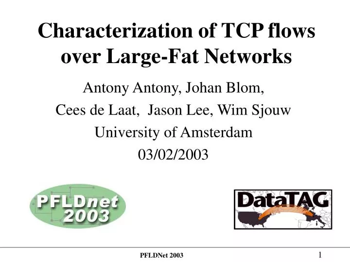 characterization of tcp flows over large fat networks