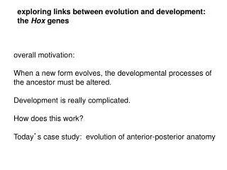 exploring links between evolution and development: the Hox genes