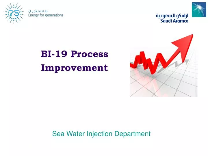 bi 19 process improvement