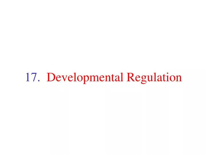 17 developmental regulation