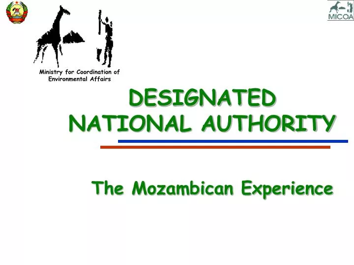 designated national authority