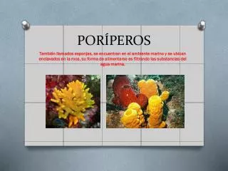 por peros