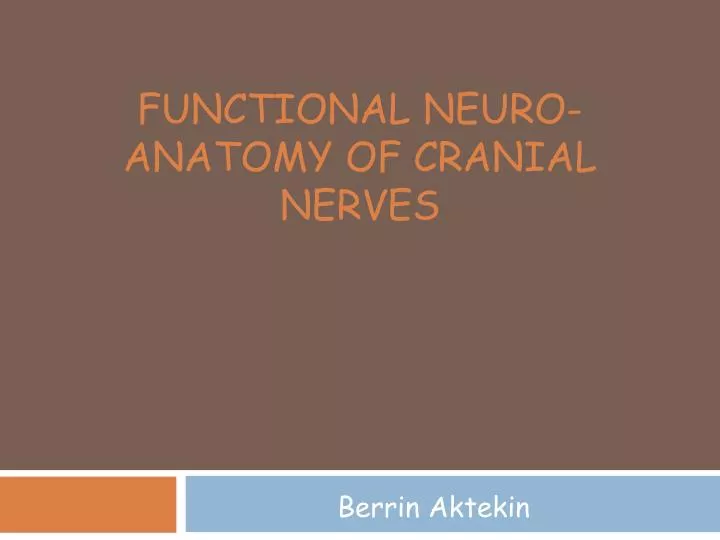 functional neuro anatomy of cranial nerves