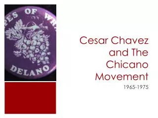 Cesar Chavez and The Chicano Movement