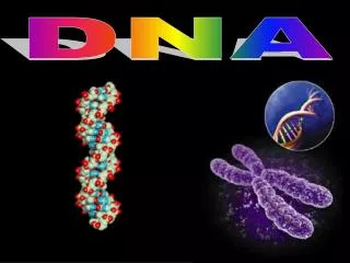 DNA