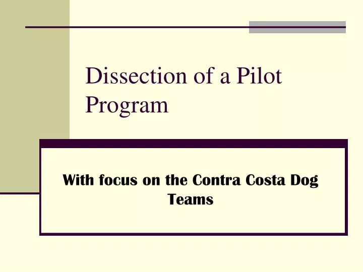 dissection of a pilot program