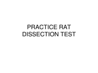 PRACTICE RAT DISSECTION TEST