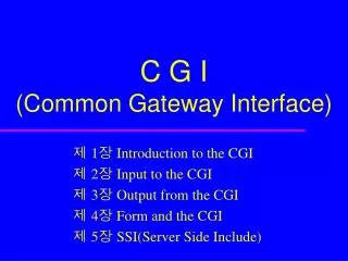 c g i common gateway interface