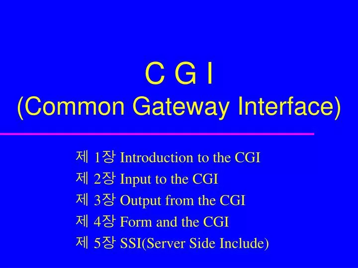 c g i common gateway interface