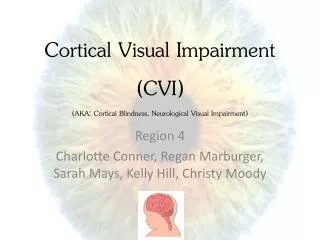 Cortical Visual Impairment (CVI) (AKA: Cortical Blindness, Neurological Visual Impairment)