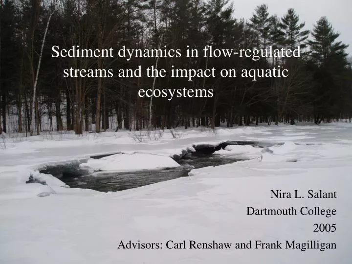 sediment dynamics in flow regulated streams and the impact on aquatic ecosystems
