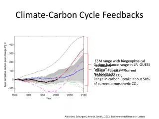 Climate-Carbon Cycle Feedbacks