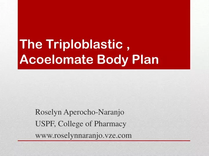the triploblastic acoelomate body plan