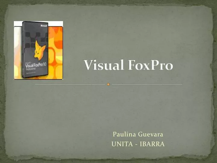 visual foxpro