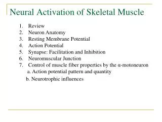 Neural Activation of Skeletal Muscle