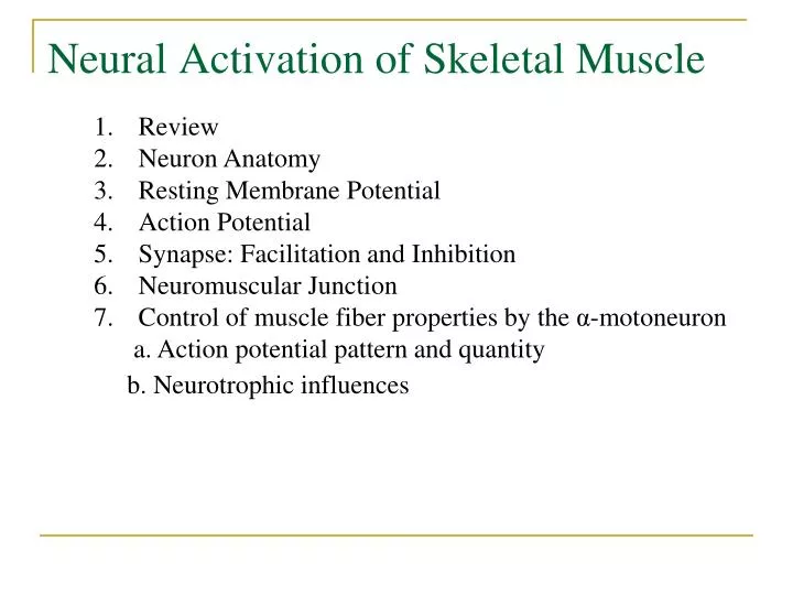 neural activation of skeletal muscle