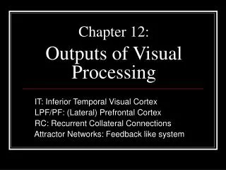 Chapter 12: Outputs of Visual Processing